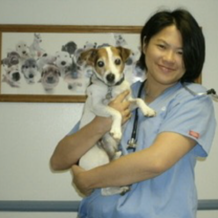 MOBILE SMALL ANIMAL CLINIC Wheat Ridge, CO